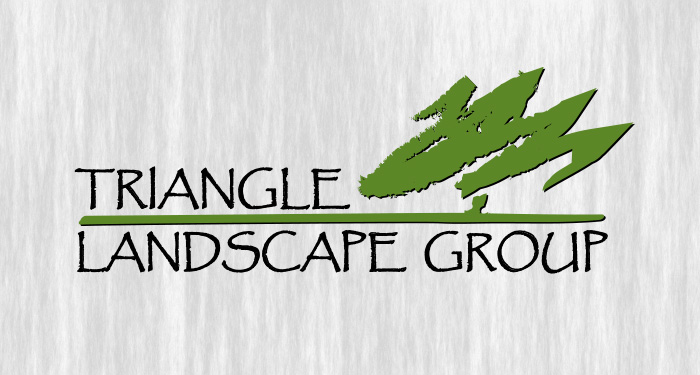 triangle landscape group logo design